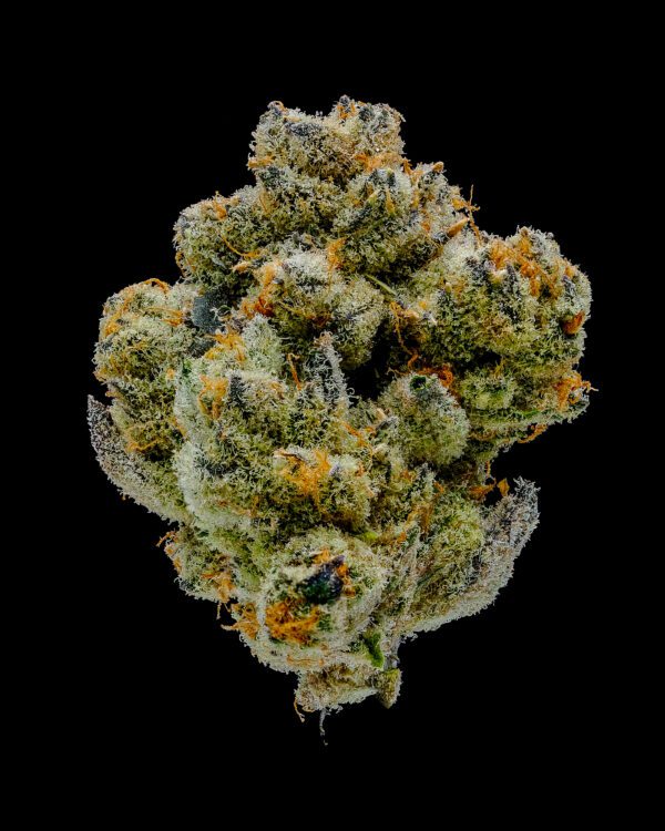Sour Cookies